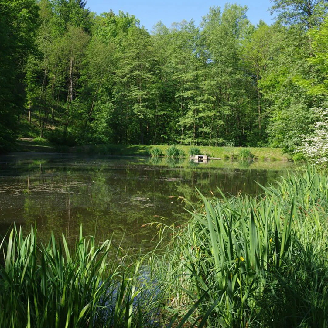 <span class="text-primary">Hodkovičky</span> jsou klidnou rezidenční čtvrtí obklopenou zelení